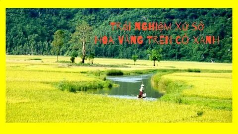 Cách Khởi Nghiệp Kiếm Tiền Bán Thời Gian Dành Cho Người Mới_cách làm video ngắn thu hút người xem